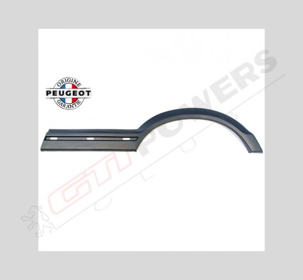 Protecteur aile ar gauche ouragan ( noir ) 854748