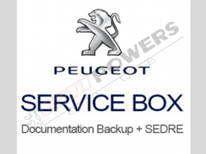 Peugeot Service Box 205