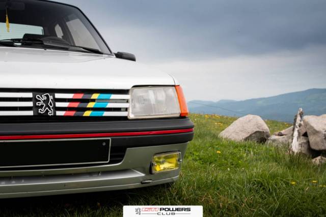 Peugeot-205-GTI-Powers-Day-Alsace-2026 (21)